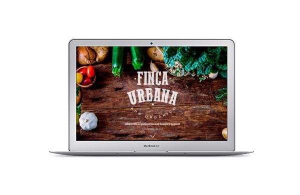 Muestra tu sitio web